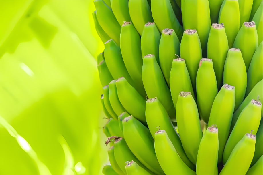 untitled designh (1)