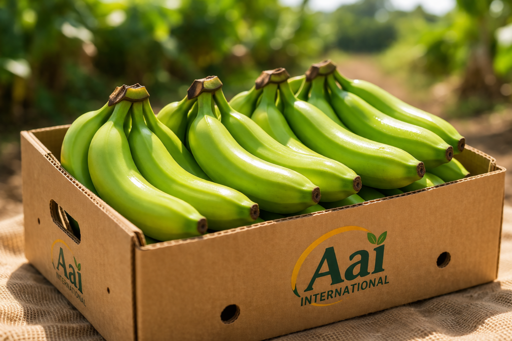 2565dac4 F4ae 4422 A435 6ed56cc09391 1024x683